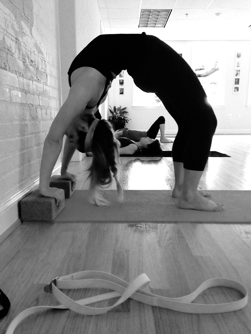 yoga, meditation, exercise, health, body, relaxation, lifestyle, wellness, fitness, relax, meditating, calm, lotus, pose, spiritual, zen, energy, peace, spirituality, mind, harmony, peaceful, gray health, gray fitness, gray yoga, gray meditation, gray exercise, gray energy, gray calm, gray workout, gray peace, gray wellness, gray mind, gray body, yoga, yoga, yoga, yoga, yoga